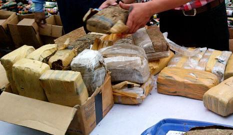 Polisi Tangkap 2 Tersangka Pengedar Ganja 49,2 Kg